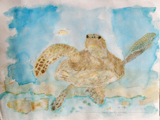 Hawaiian Turtle watercolor painting