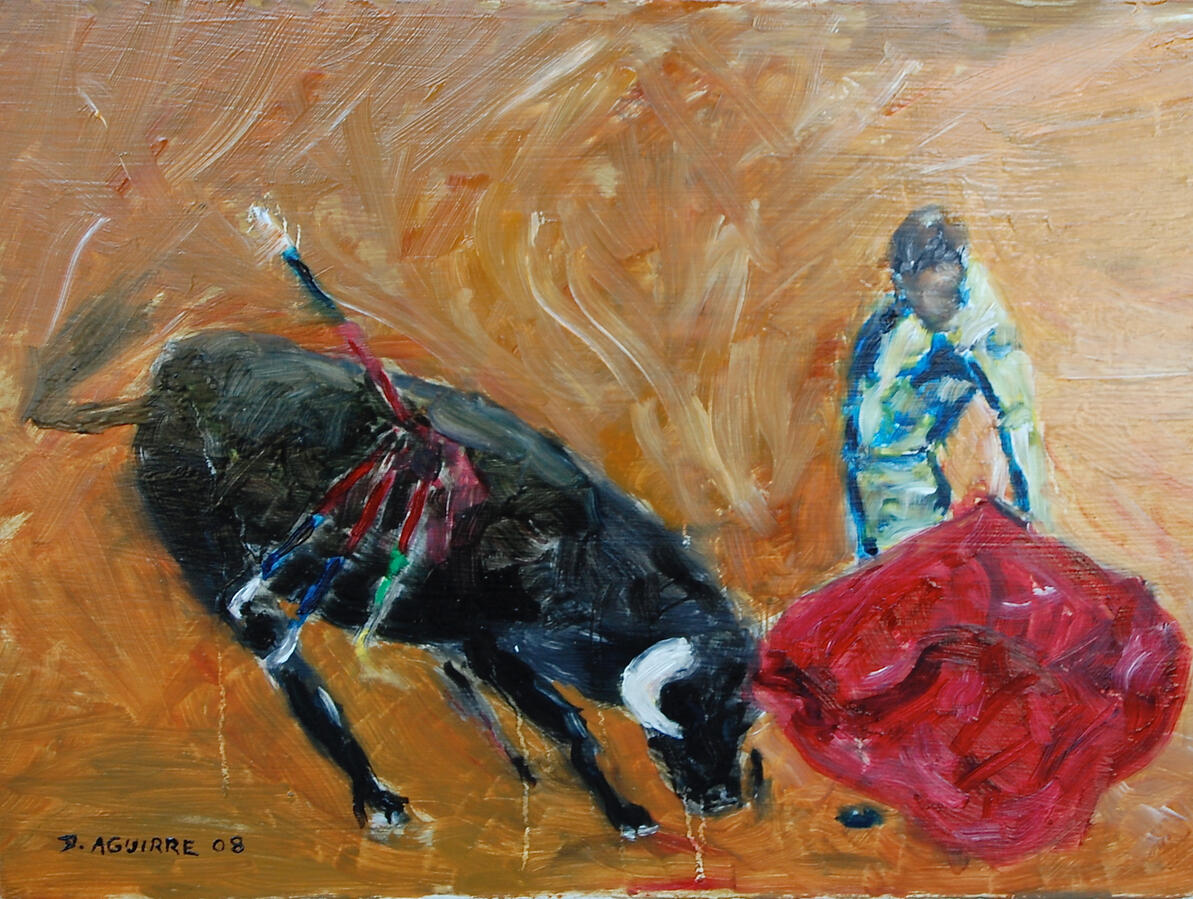 Bull Fight Matador