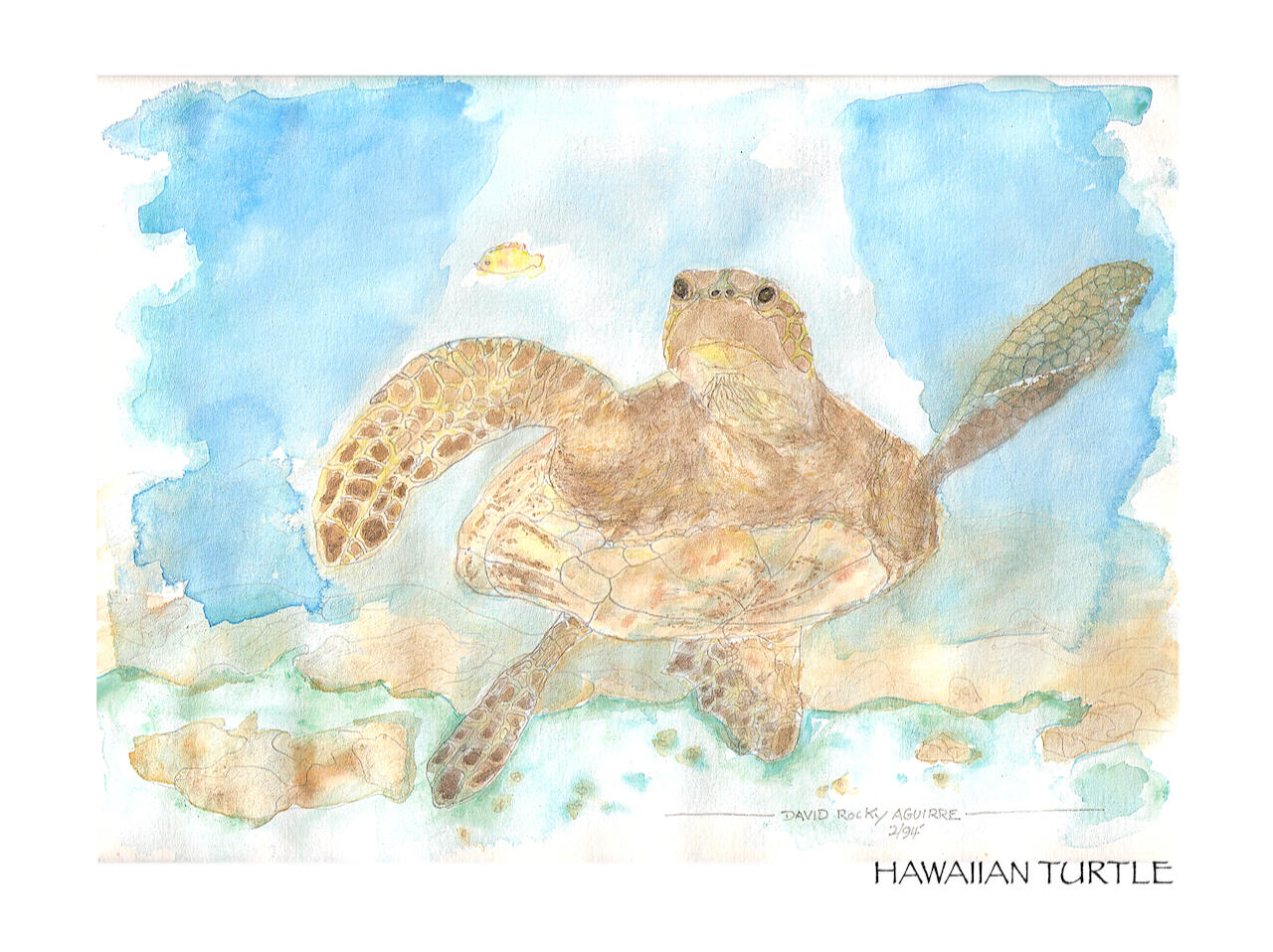 Hawaiian Turtle Print