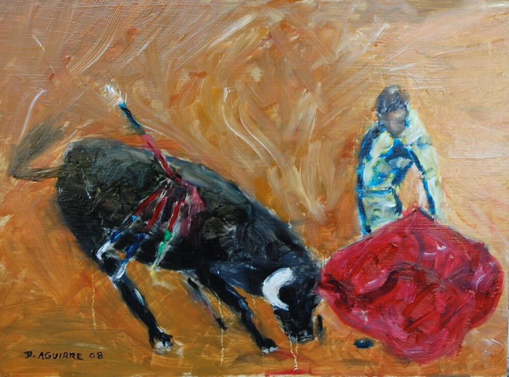 Bullfight Matador