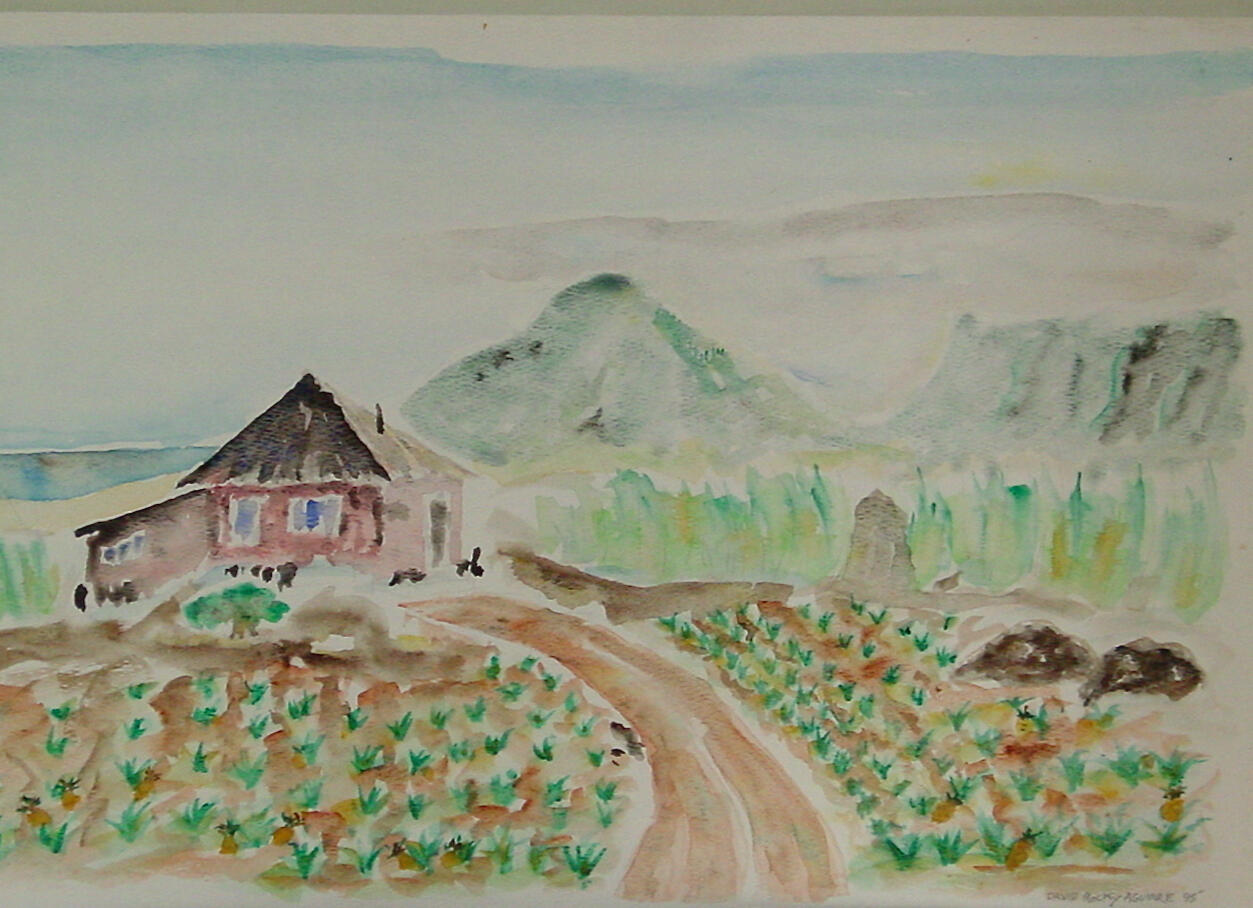 Hawaiian Farm Hawaiian Farm