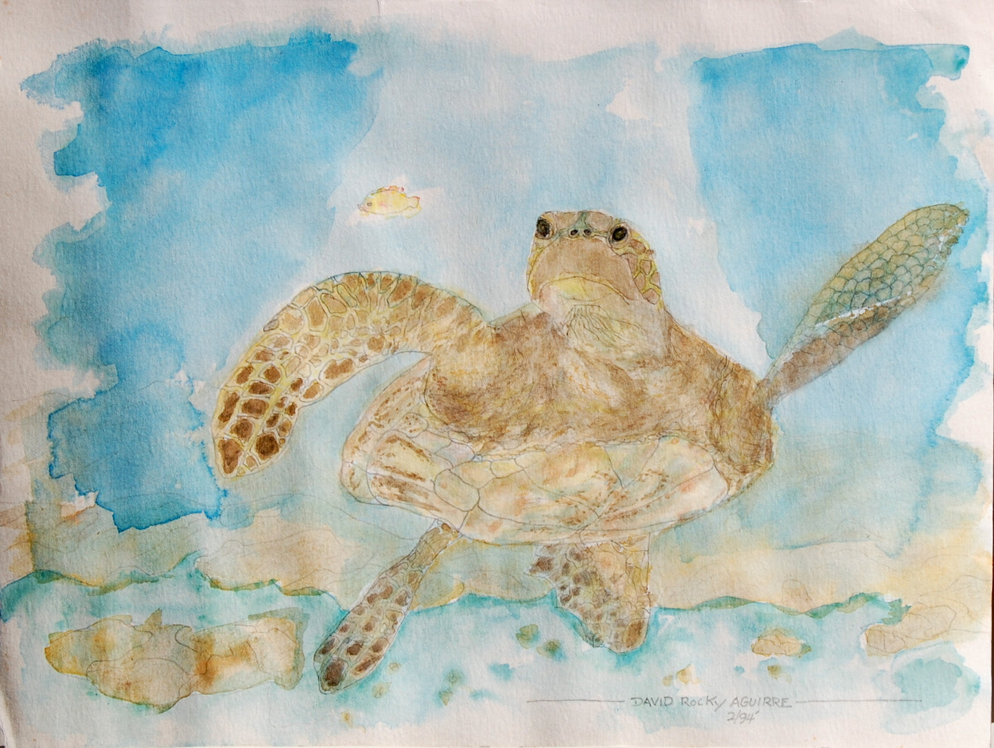 Hawaiian Turtle watercolor painting
